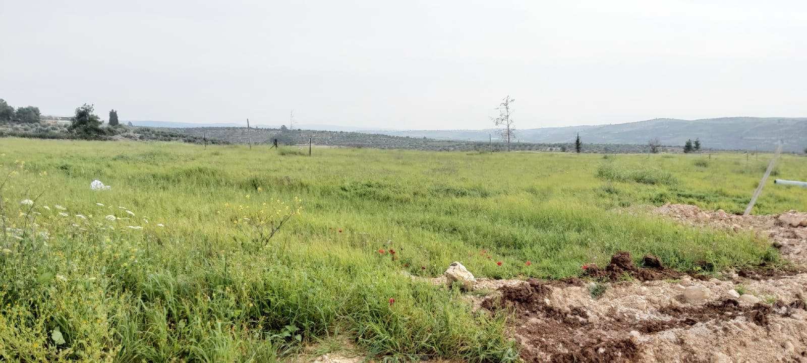 Gva'ot Eden, Land for Sale