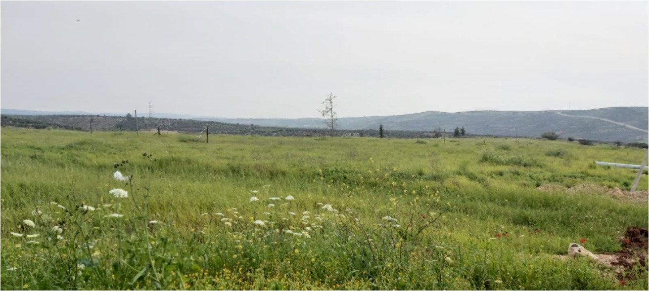 Gva'ot Eden, Land for Sale